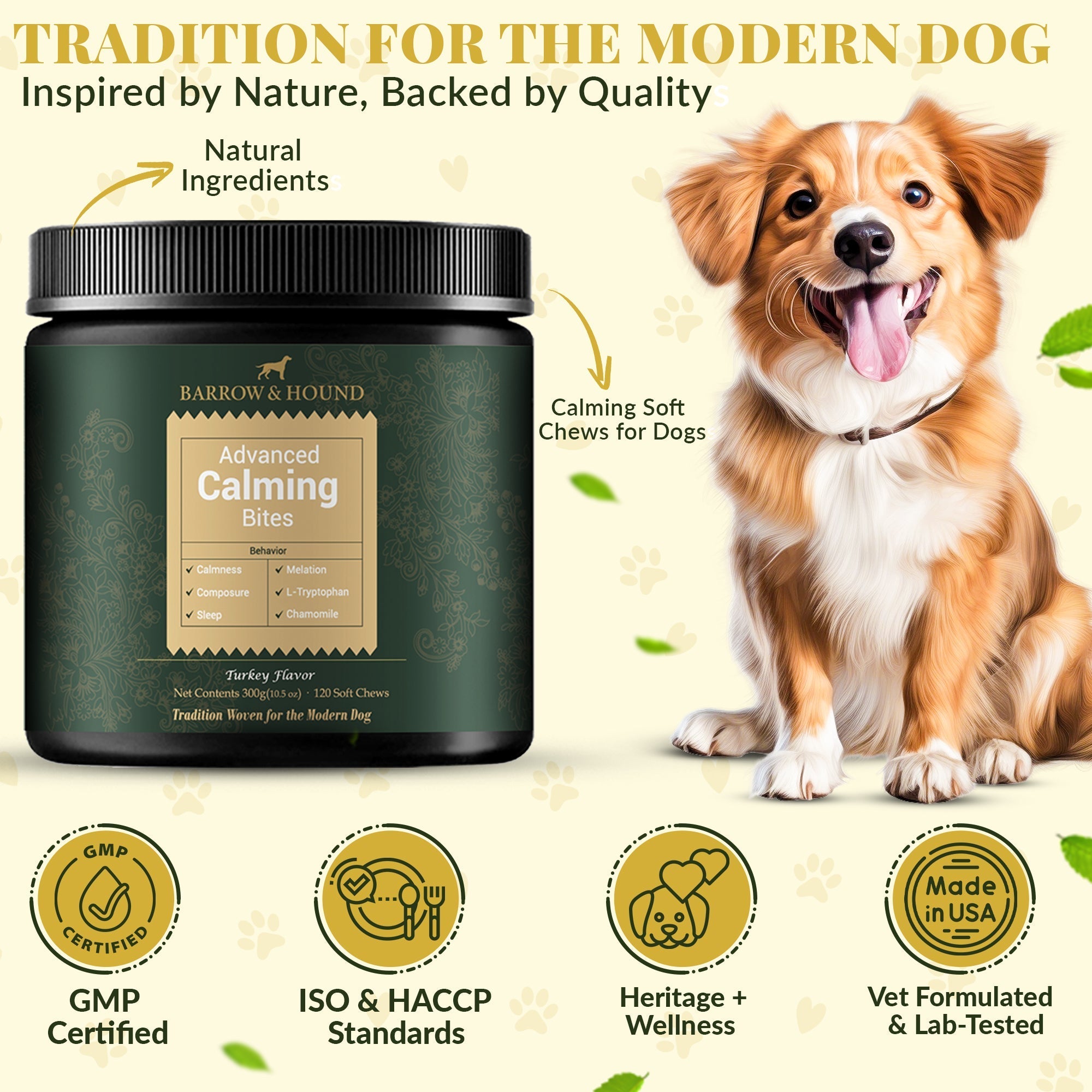 Calming Bites for Dogs – Stress & Anxiety Relief