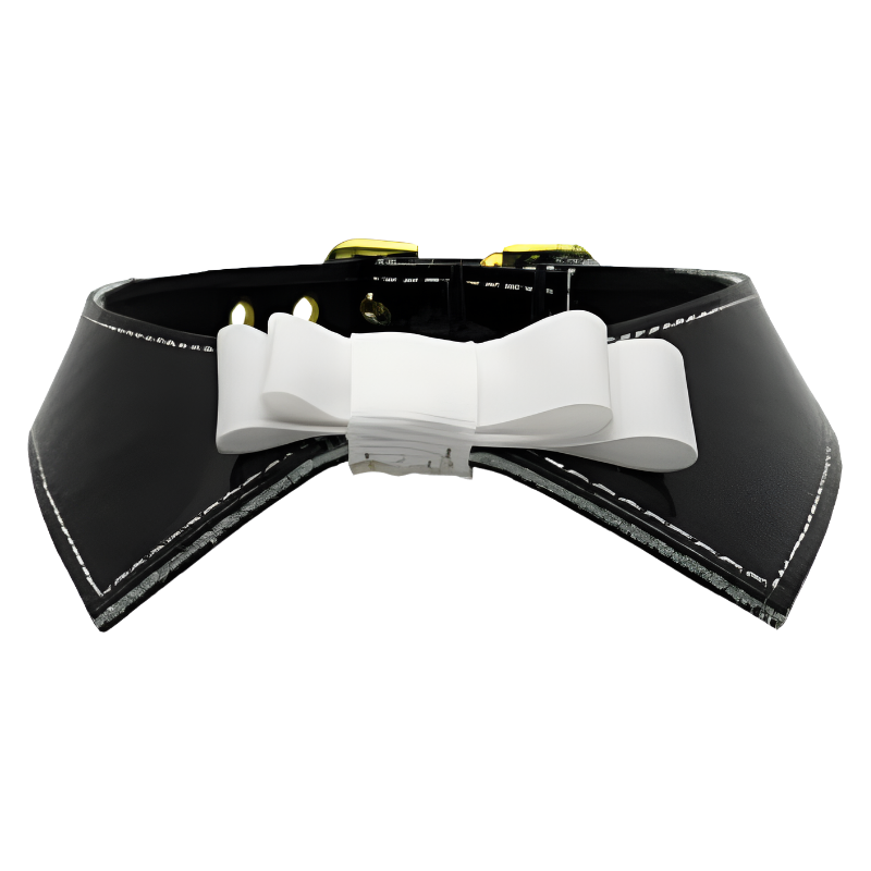 Johnny Patent Bow Dog Collar - 2 Colors