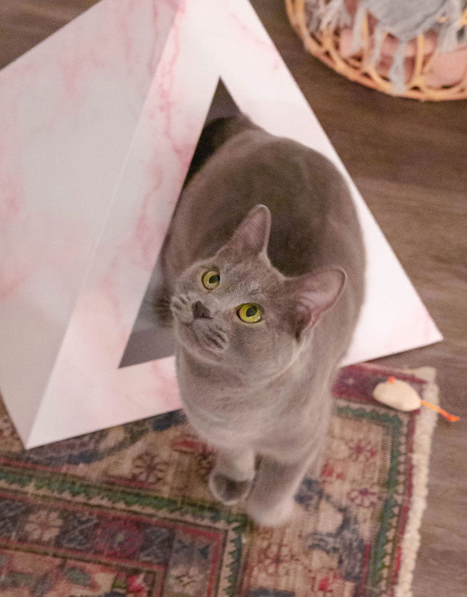 'Rose Quartz' Cardboard Cat Pyramid