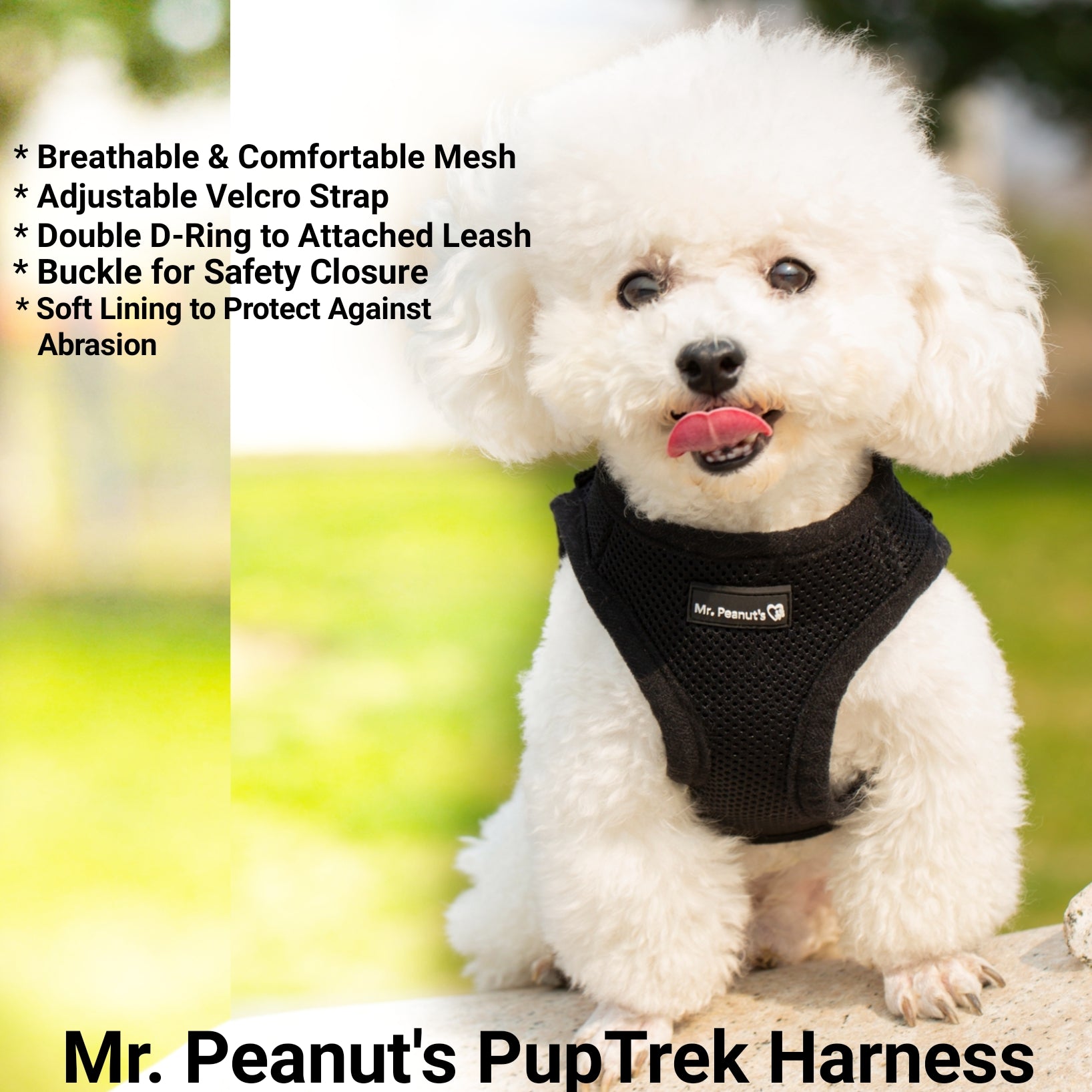 Mr. Peanut's PetTrek Soft Mesh Pet Harness with Matching Leash – Adjustable, Breathable, Choke-Free