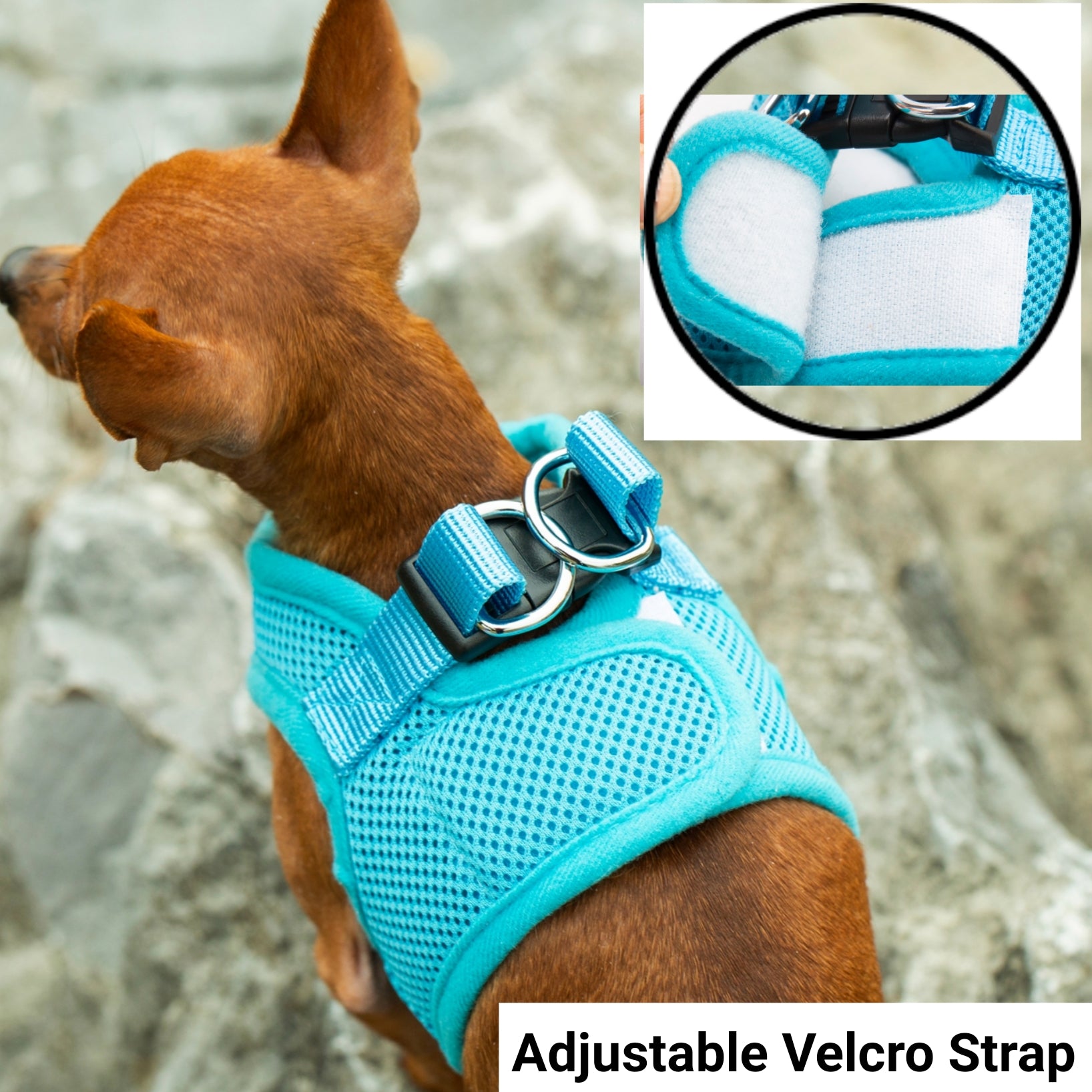 Mr. Peanut's PetTrek Soft Mesh Pet Harness with Matching Leash – Adjustable, Breathable, Choke-Free