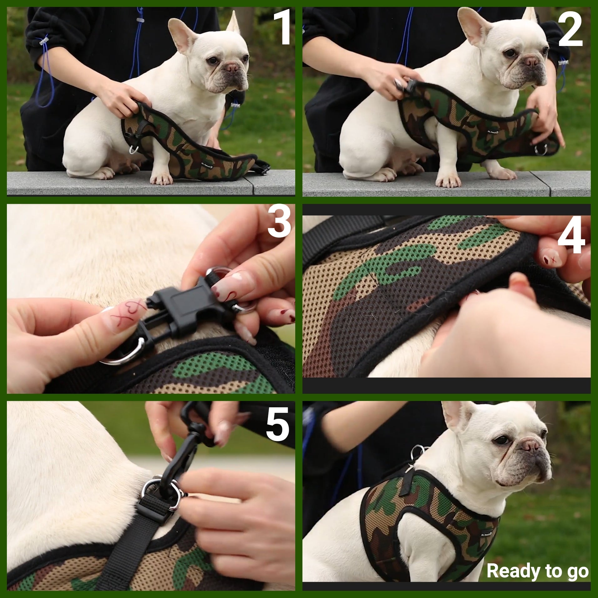 Mr. Peanut's PetTrek Soft Mesh Pet Harness with Matching Leash – Adjustable, Breathable, Choke-Free