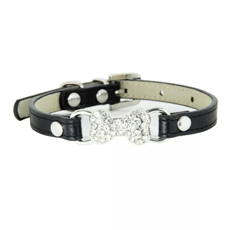 Bling Bone Dog Collar